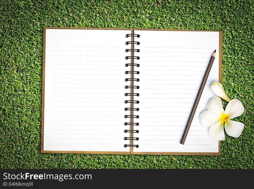 Notebook in green grass with frangipani flower