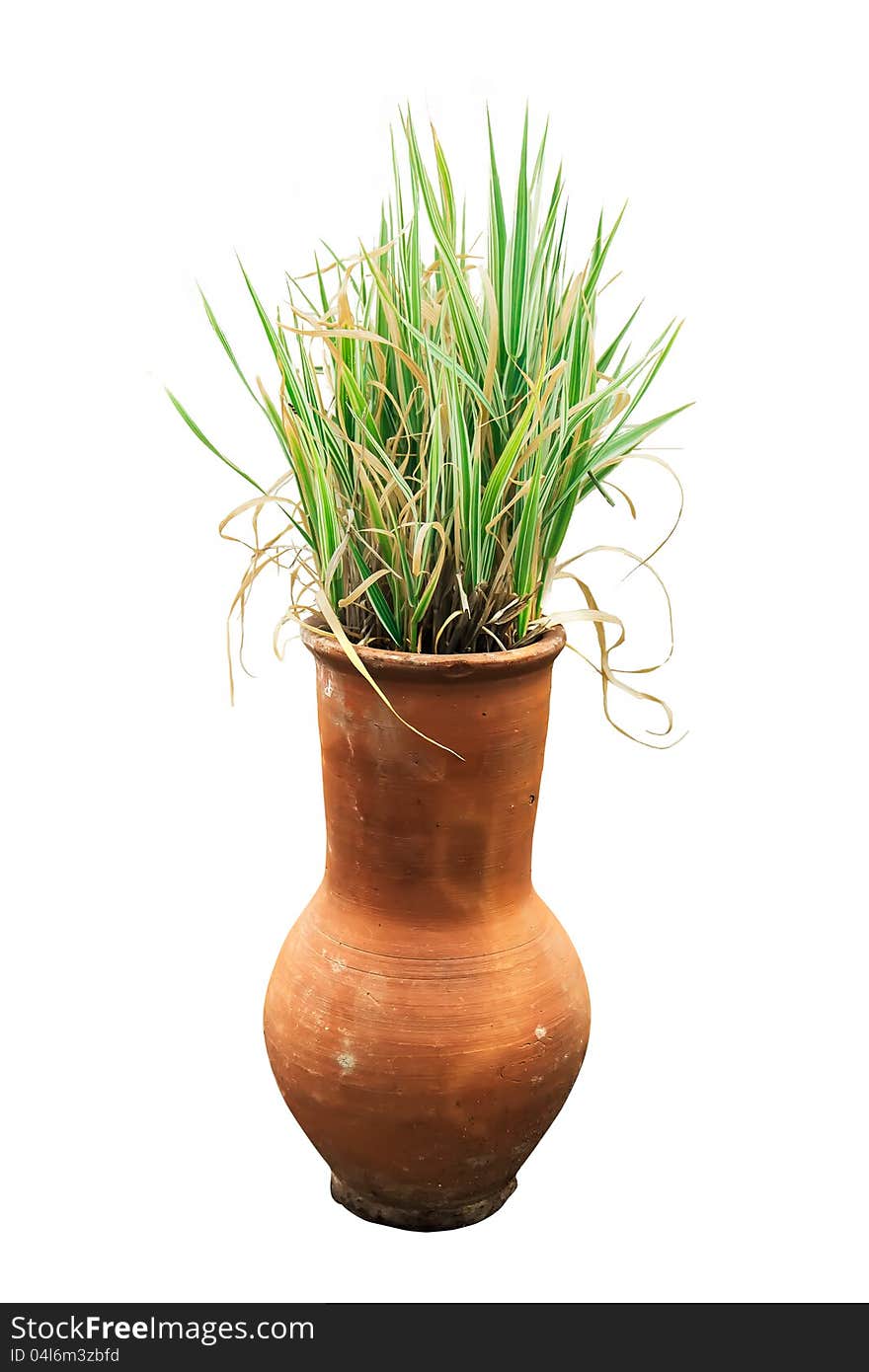 Decorative jug with a grass