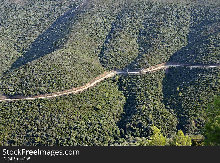 Generic pine forest and road in Halkidiki, Greece. Generic pine forest and road in Halkidiki, Greece