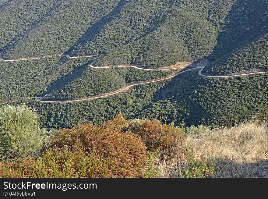 Generic pine forest and road in Halkidiki, Greece. Generic pine forest and road in Halkidiki, Greece