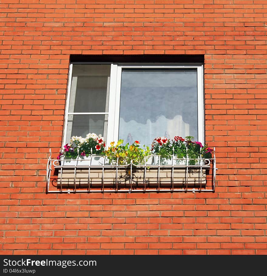 Window photo with beautiful bright flower and greens on window sill. Window photo with beautiful bright flower and greens on window sill