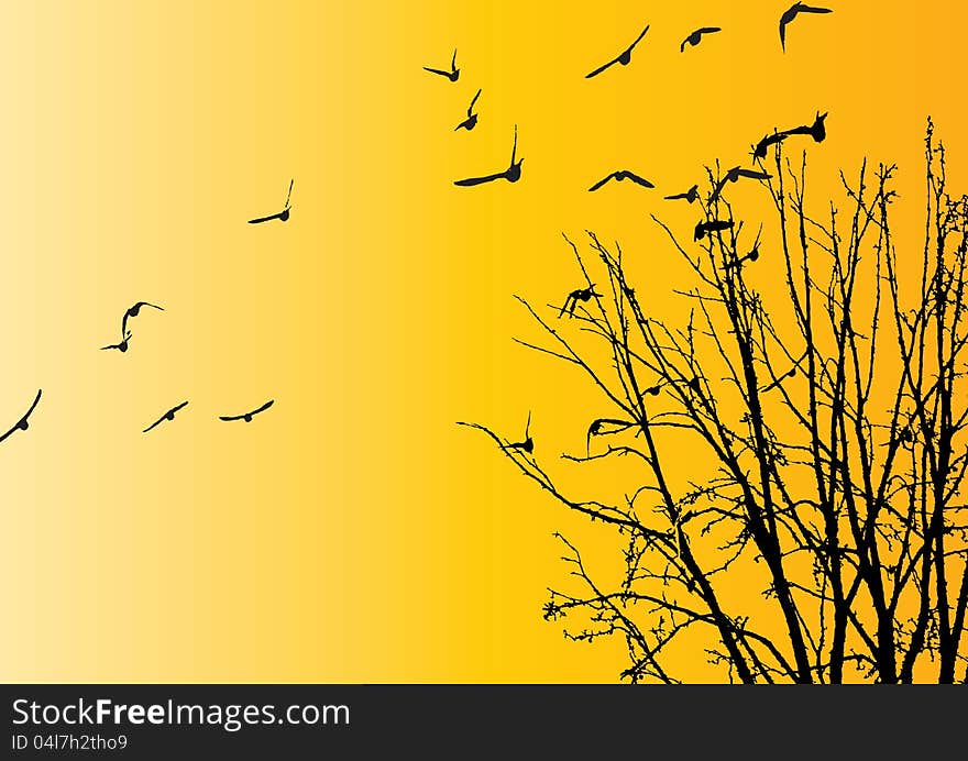 Flying birds  background for your text