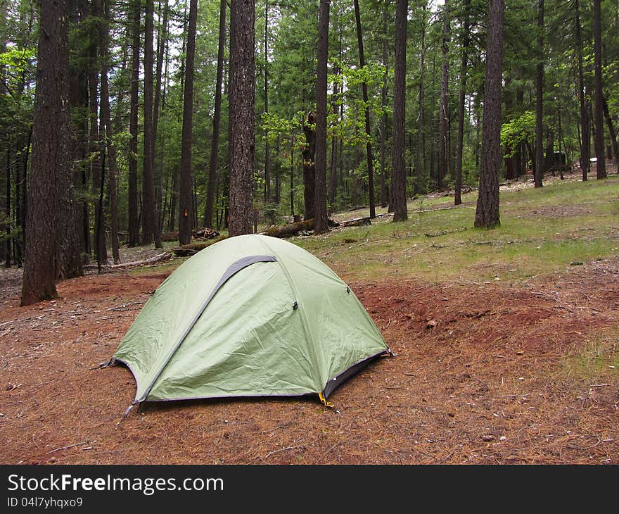 Green Tent in a Forest