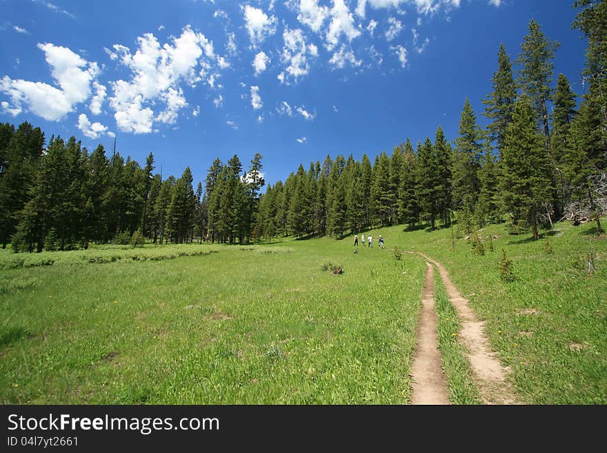 Hiking At Yellowstone National Park