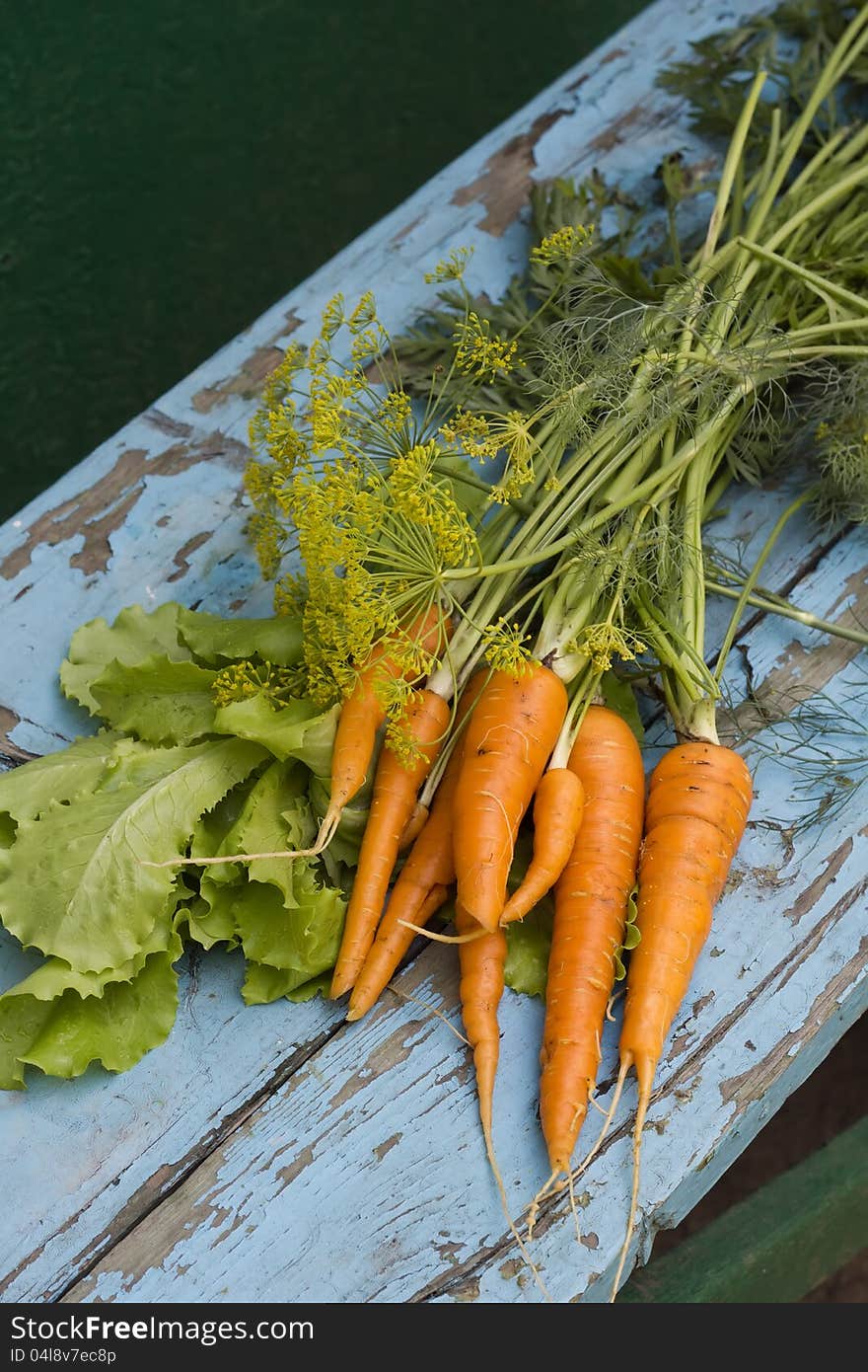 Fresh carrots  with leaves, lettuce and fennel  on blue woodenbackground. Fresh carrots  with leaves, lettuce and fennel  on blue woodenbackground