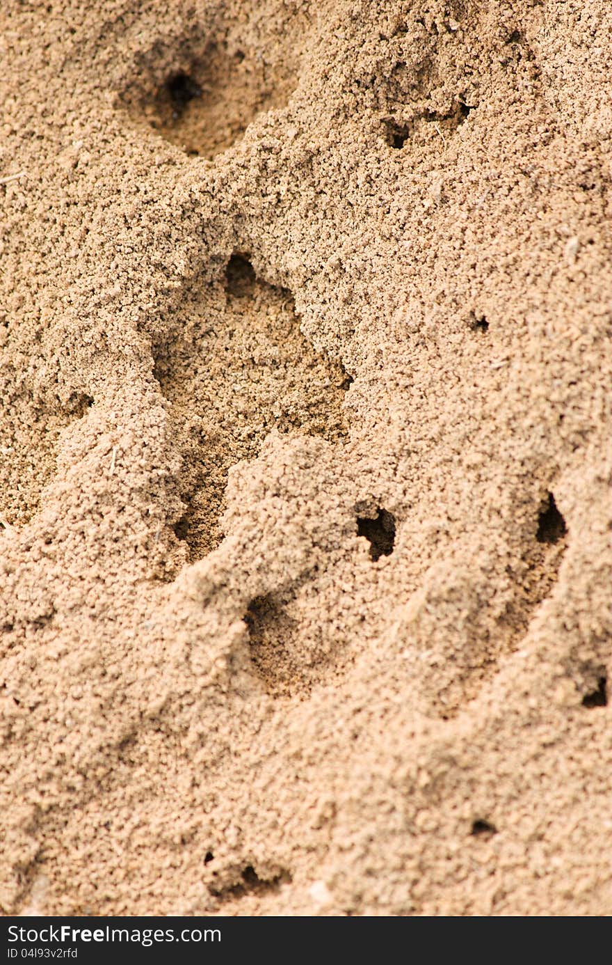 Sandy anthill with deep holes close-up view. Sandy anthill with deep holes close-up view