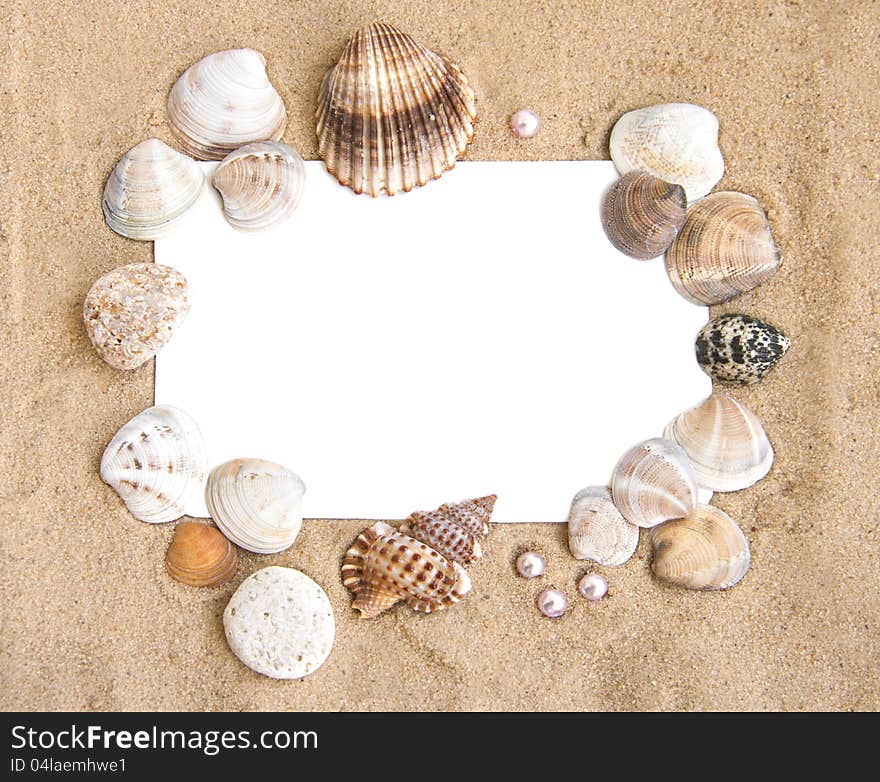 Holiday concept, blank paper on the beach with seashells. Holiday concept, blank paper on the beach with seashells