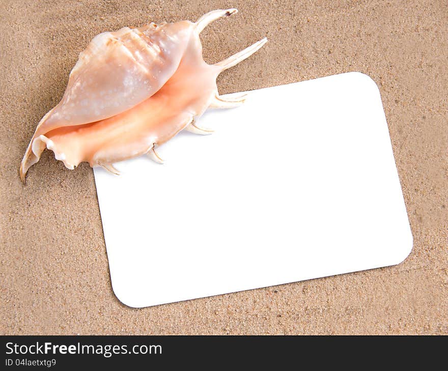 Holiday concept, blank paper on the beach with seashell. Holiday concept, blank paper on the beach with seashell