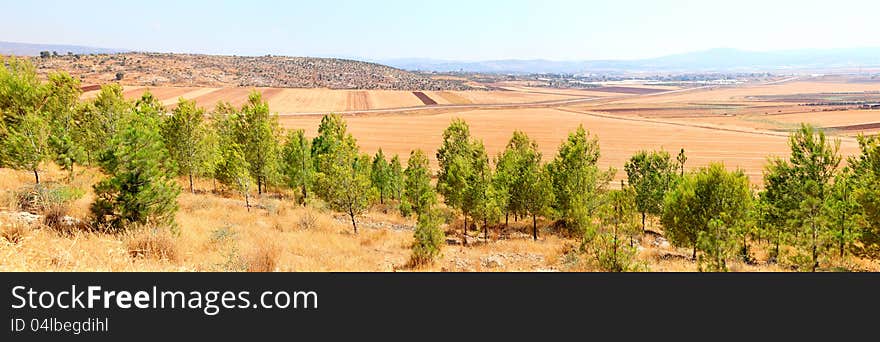 View from mountains on agricultural fields. Israel. View from mountains on agricultural fields. Israel