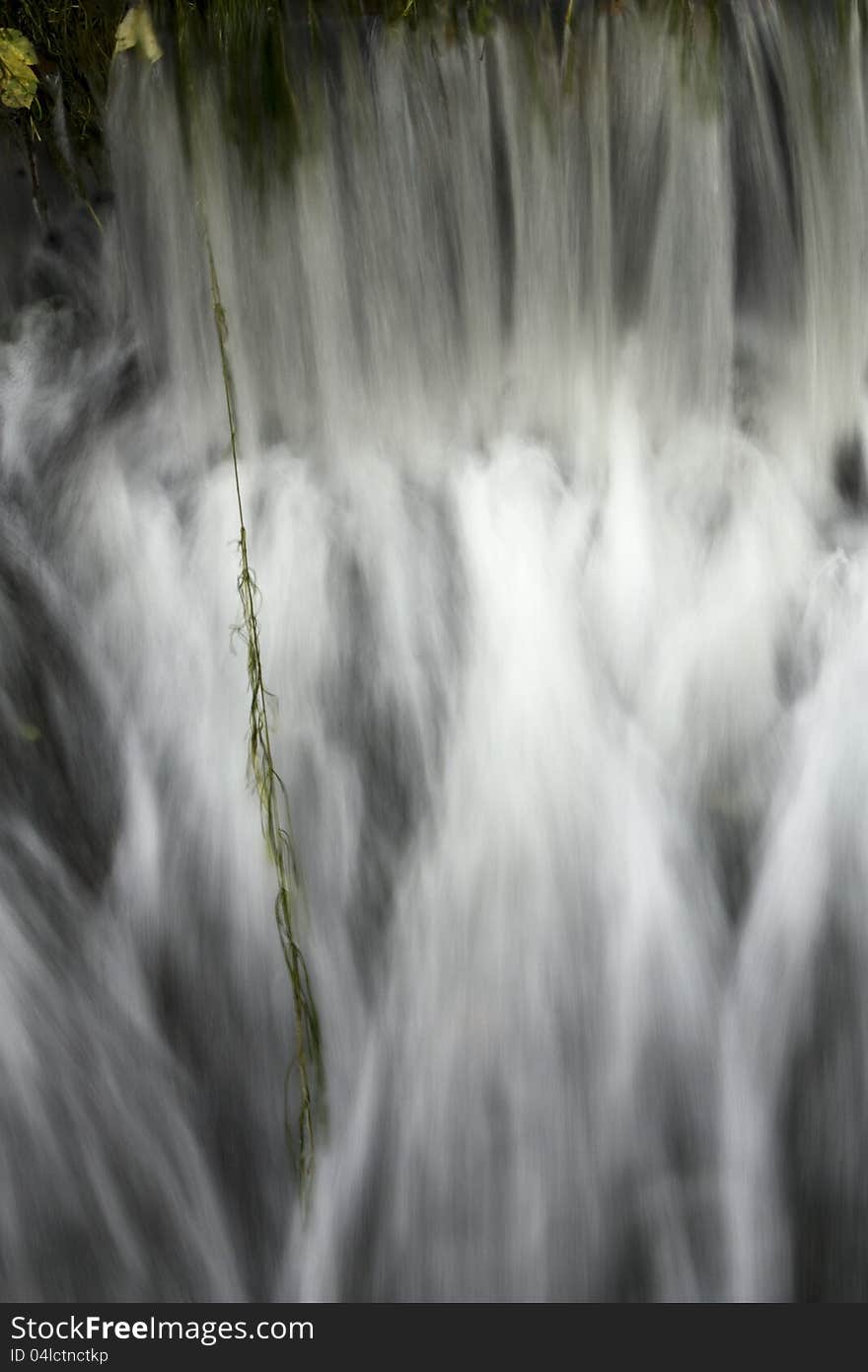 Details of flowing water with a green blade of plants. Details of flowing water with a green blade of plants