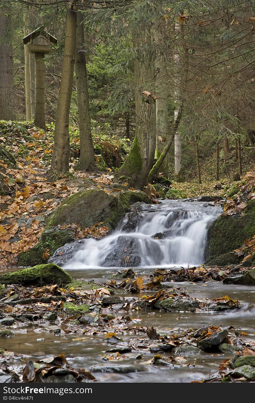 Forest with a stream in the autumn with colorful fallen leaves. Forest with a stream in the autumn with colorful fallen leaves