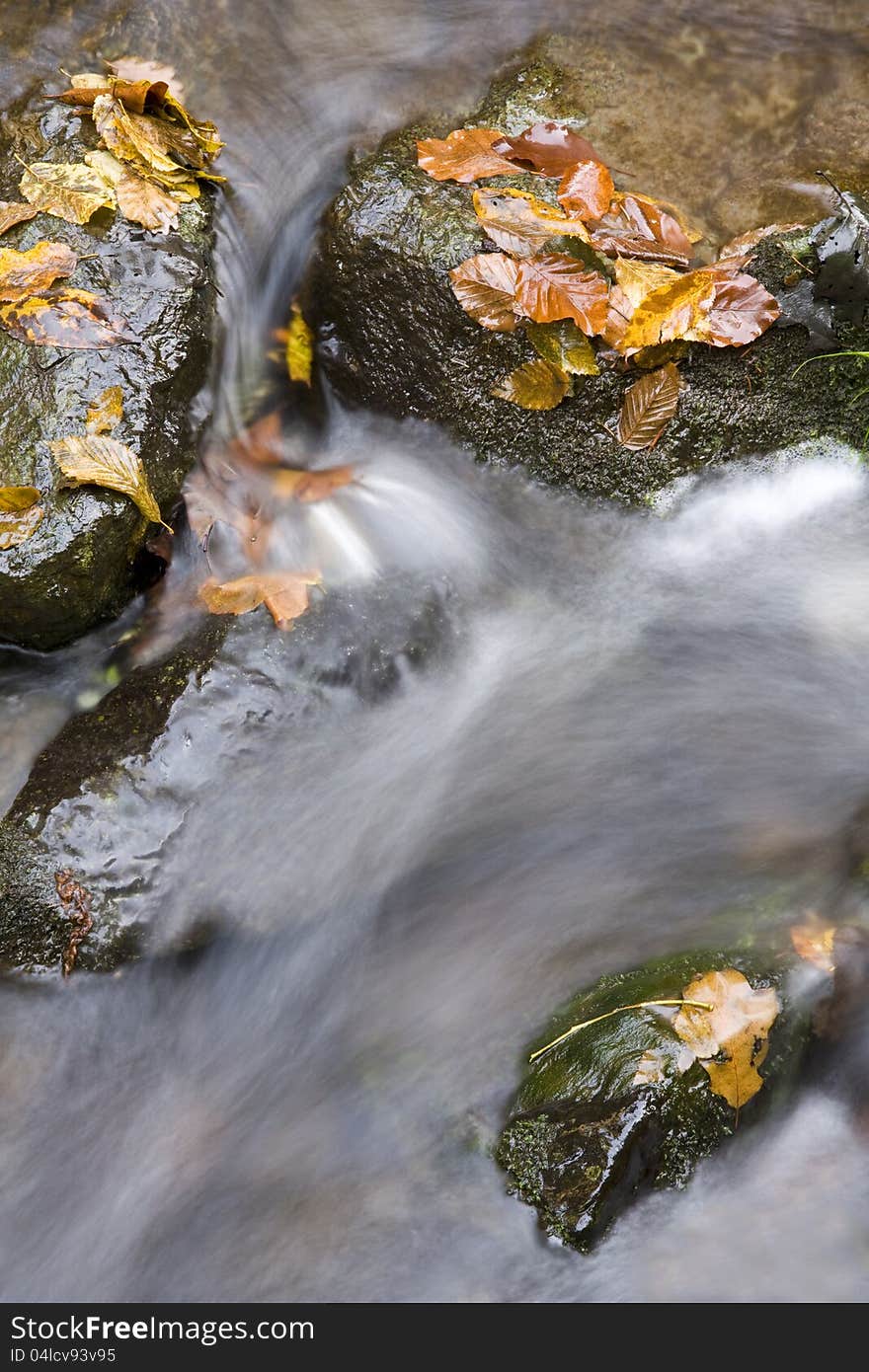 Colorful leaves on the stones between which water flows through. Colorful leaves on the stones between which water flows through