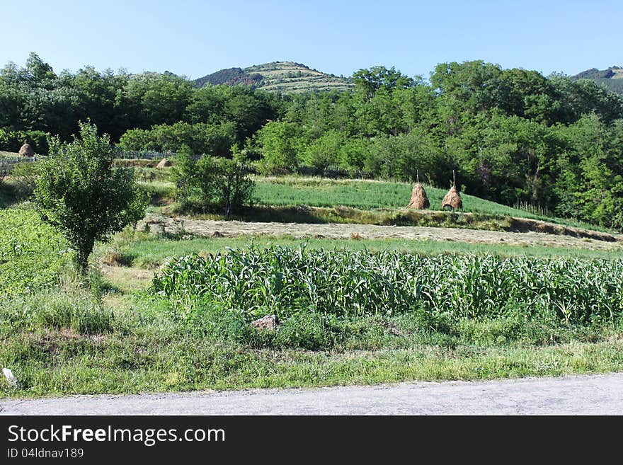 Hillside rural landscape