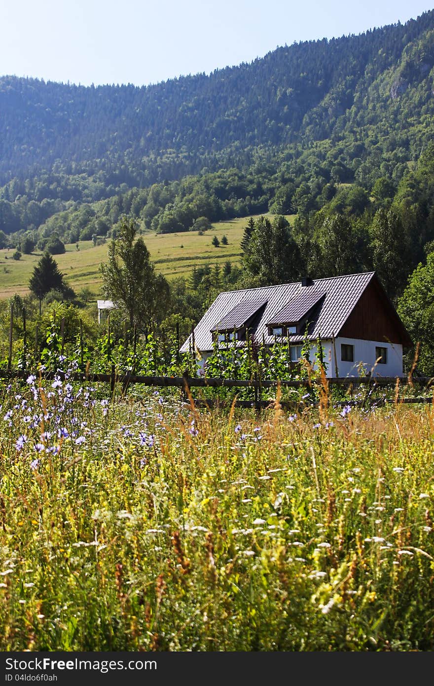 Cottage near forest with field flowers. Cottage near forest with field flowers.