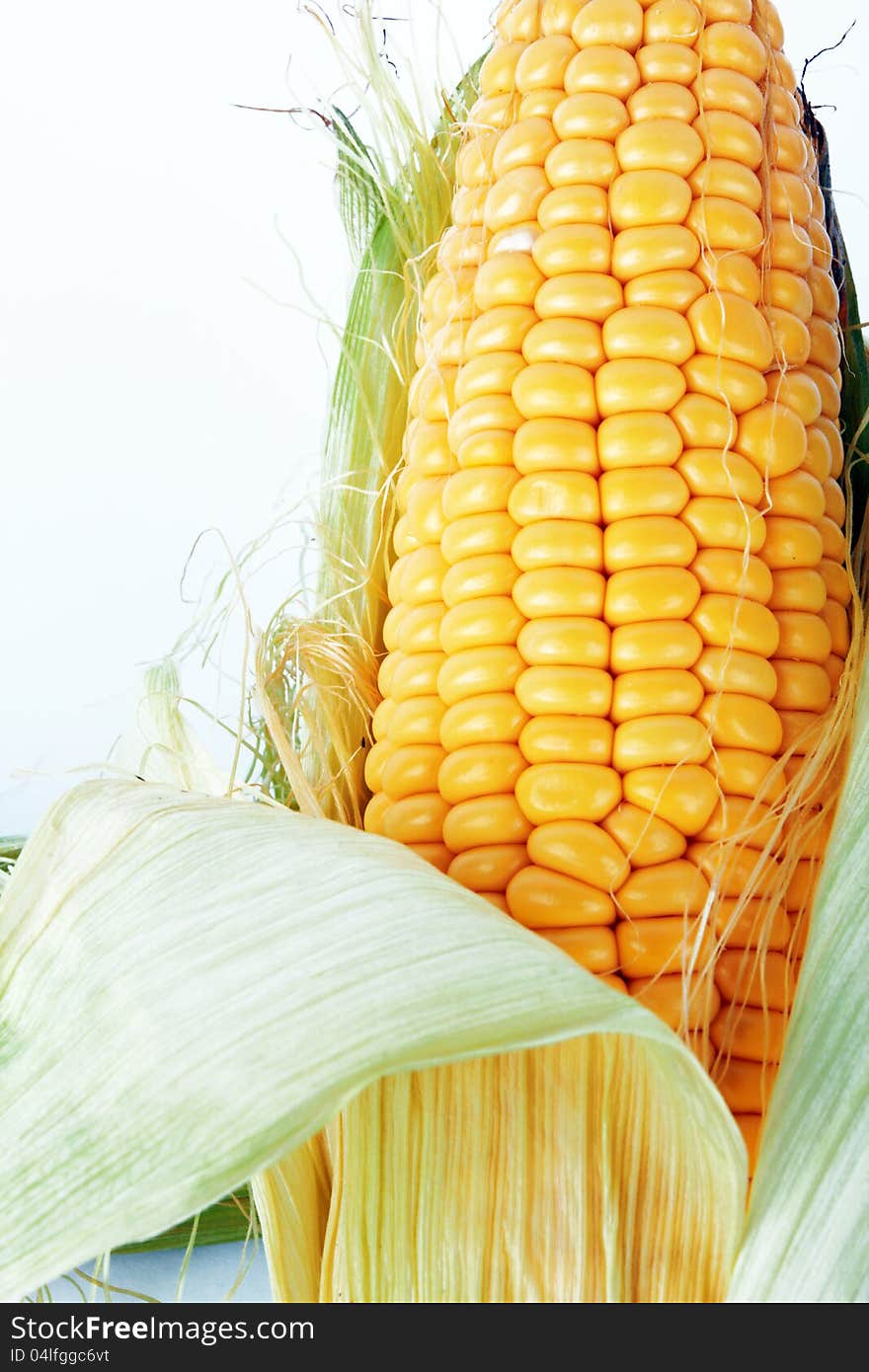 Fresh corn vegetable with green leaves closeup