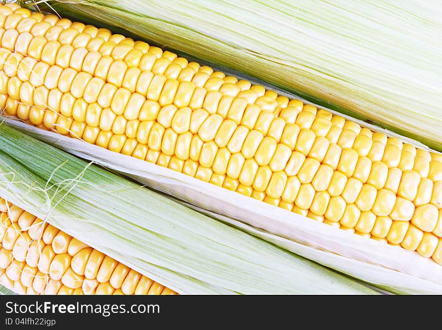 Fresh corn vegetable as background