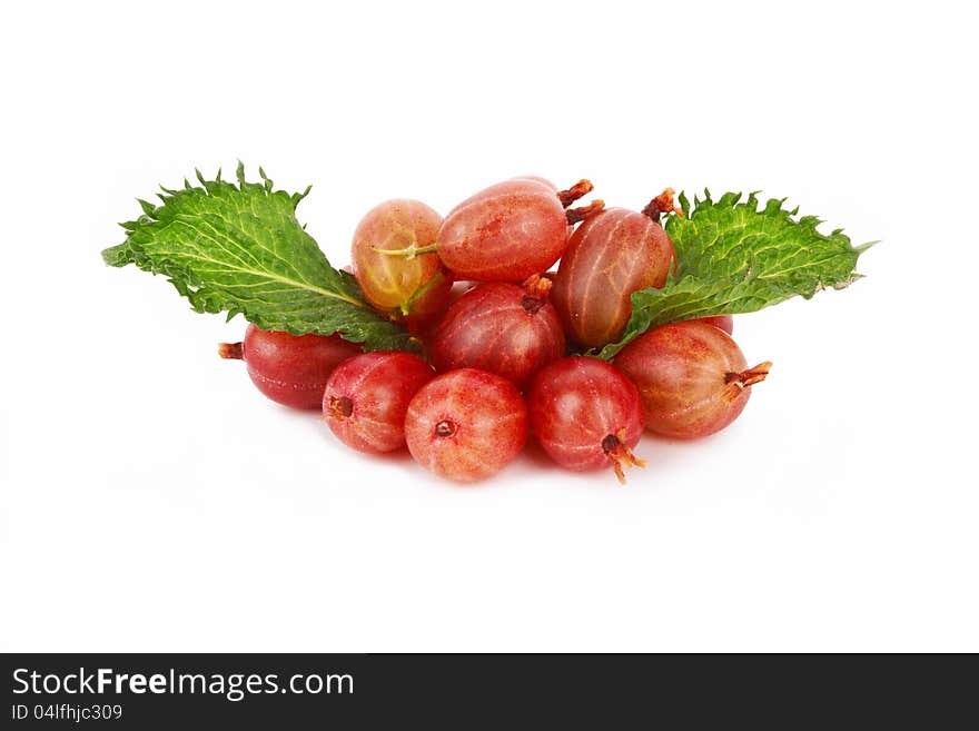 Gooseberries