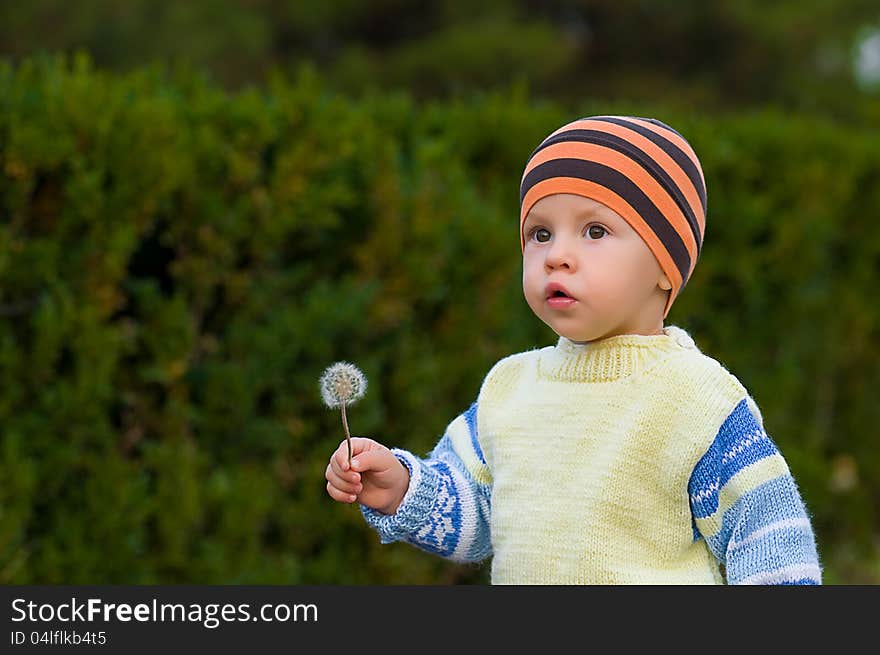 Against green bushes the kid in a sweater and a cap with a flower. Against green bushes the kid in a sweater and a cap with a flower