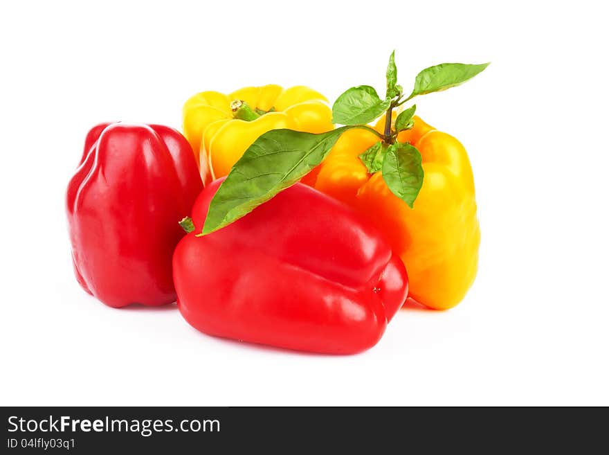 Fresh pepper vegetables on white background