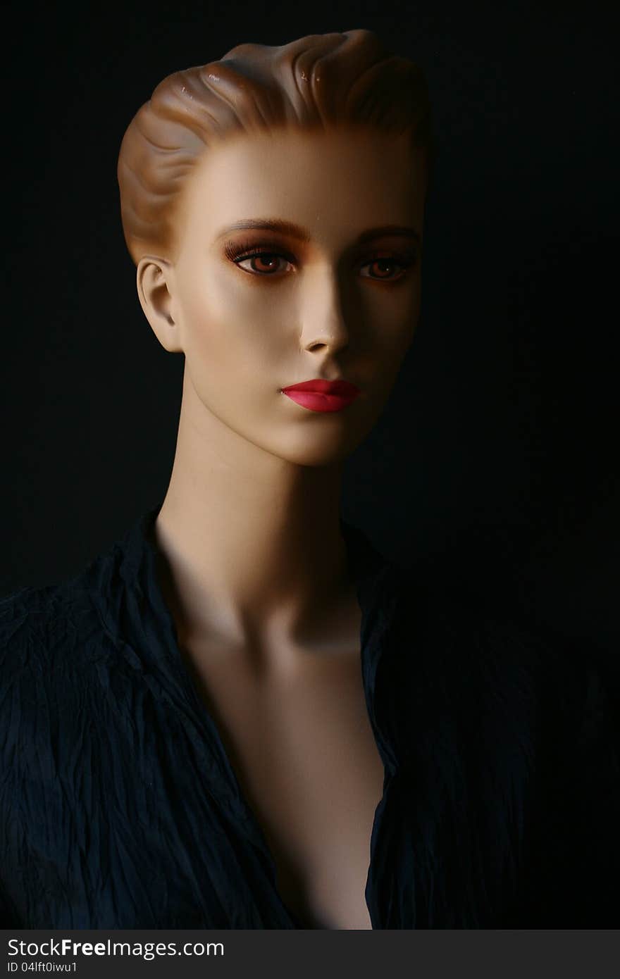 Portrait of beautiful fashion doll. Portrait of beautiful fashion doll