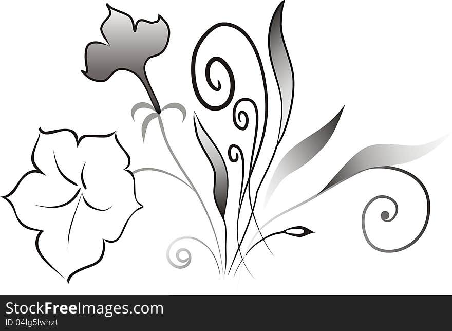 Curly twigs, leaves and flowers. Wild plants. Curly twigs, leaves and flowers. Wild plants