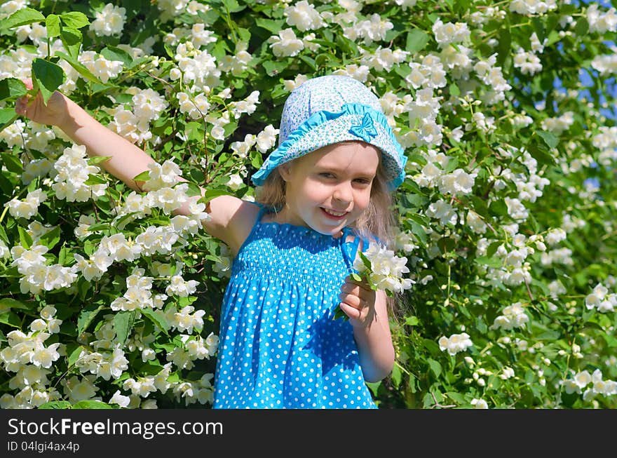 Little funny girl with blooming jasmine bush. Little funny girl with blooming jasmine bush.