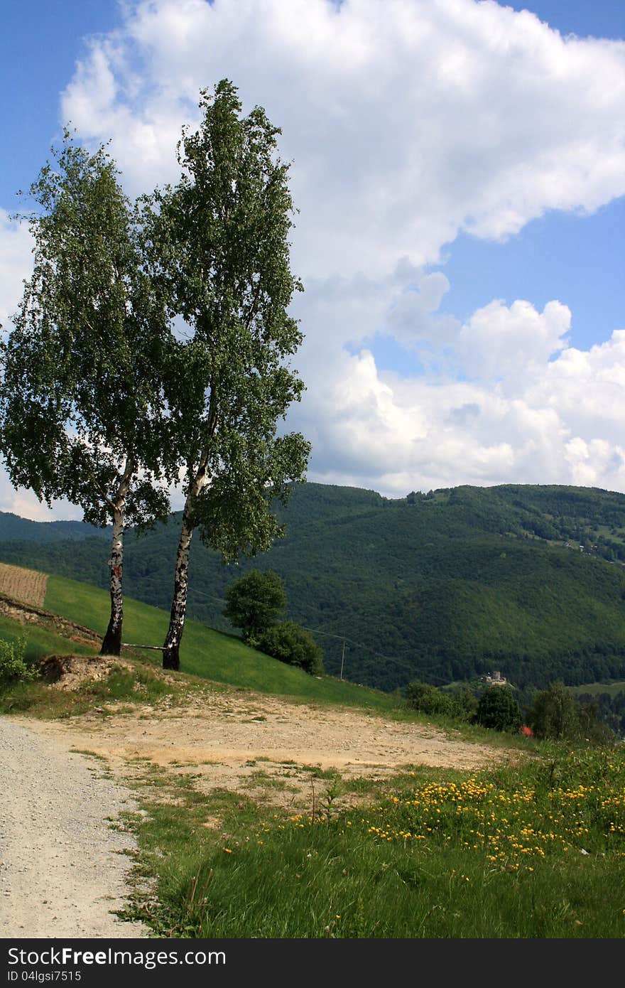 The landscape in the mountains with two birch trees in the foreground. Against a background of blue sky and white clouds. The landscape in the mountains with two birch trees in the foreground. Against a background of blue sky and white clouds.