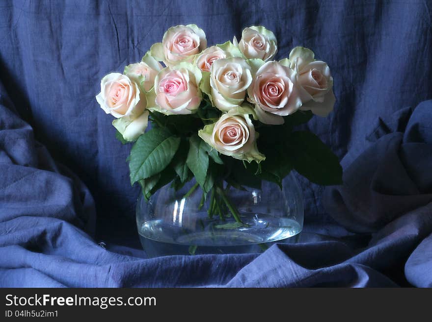 Vase with pink roses in water on blue background. Vase with pink roses in water on blue background