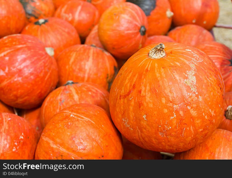 Pumpkins in farm rural country field produce harvest holiday. Pumpkins in farm rural country field produce harvest holiday