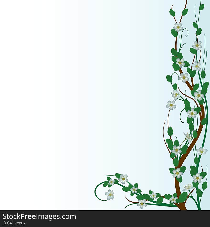 Blooming flowers of apple. The illustration on a white background. Blooming flowers of apple. The illustration on a white background.