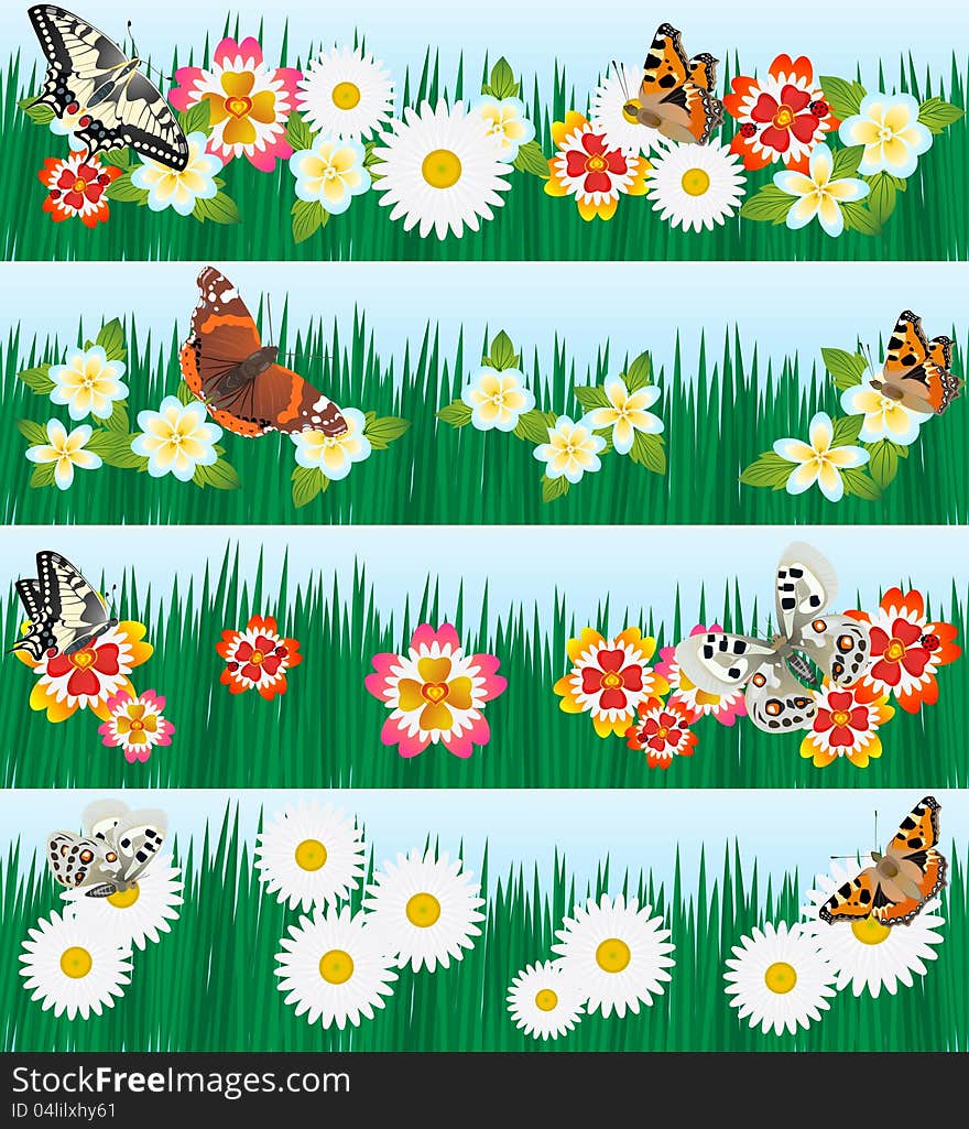 A set of butterflies and wildflowers. The illustration on a white background. A set of butterflies and wildflowers. The illustration on a white background.