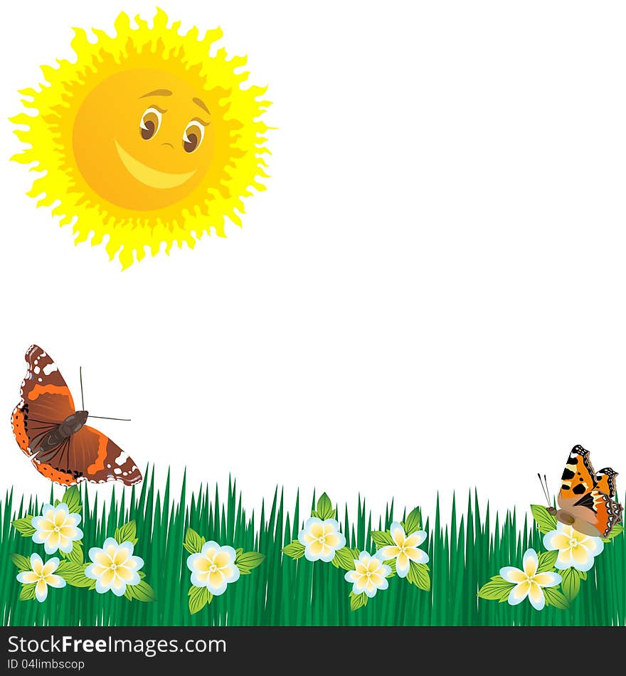 The sun, butterflies and wildflowers. The illustration on a white background. The sun, butterflies and wildflowers. The illustration on a white background.