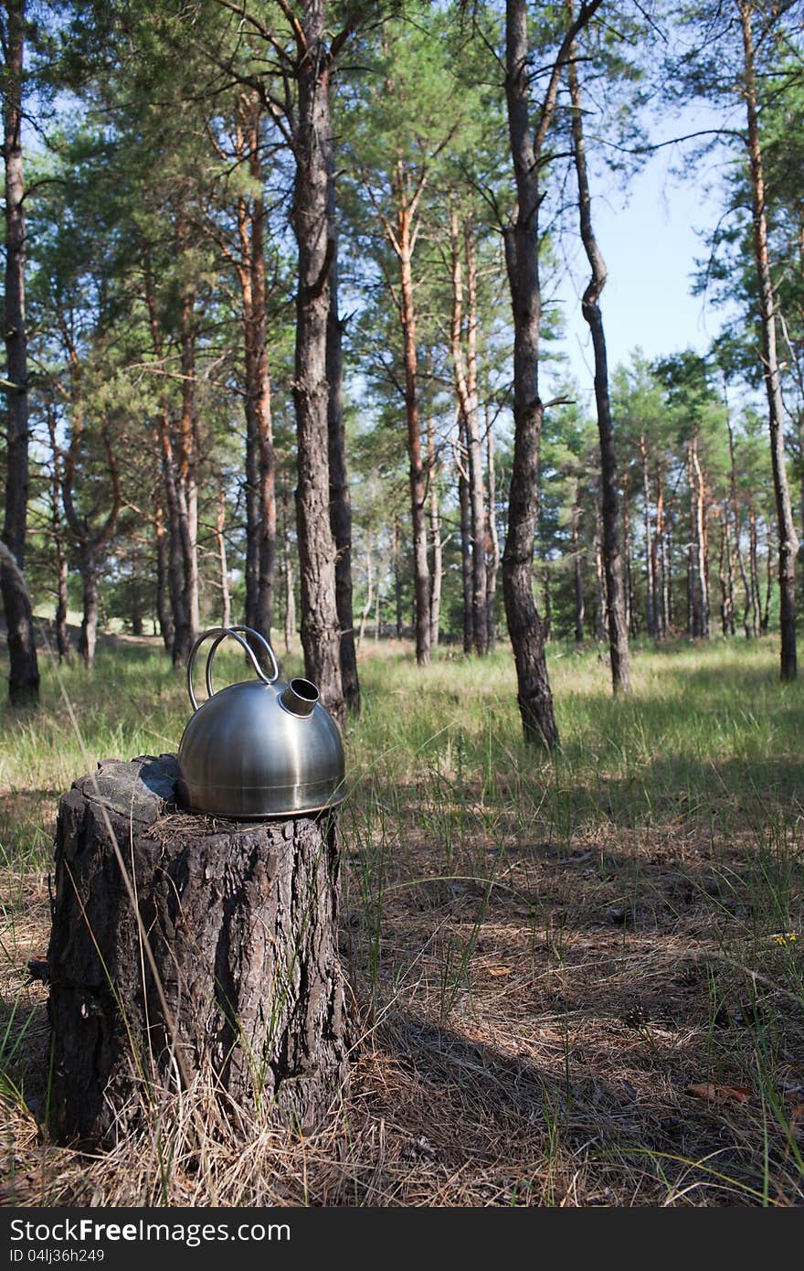 Kettle on the stump in pine forest with blurred background