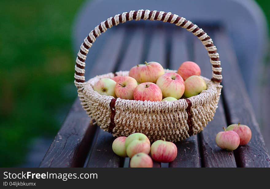 Apples in the Basket