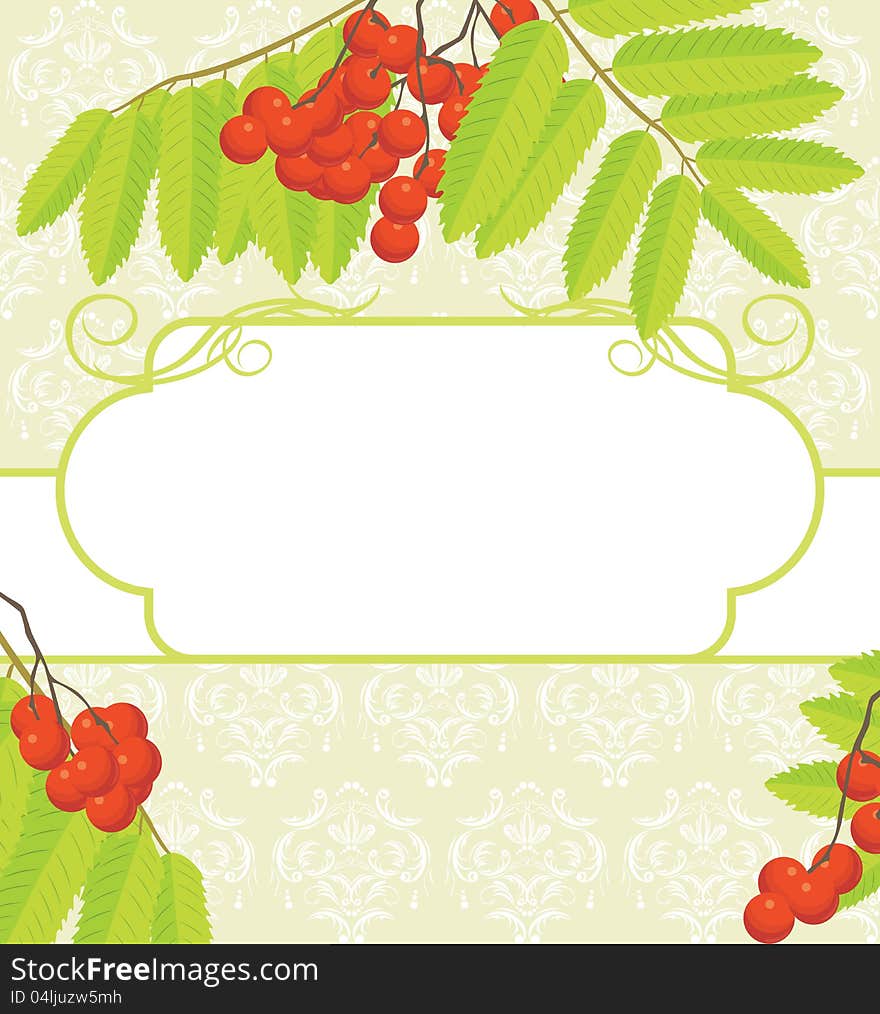 Decorative frame with rowan branches on the ornamental background. Illustration