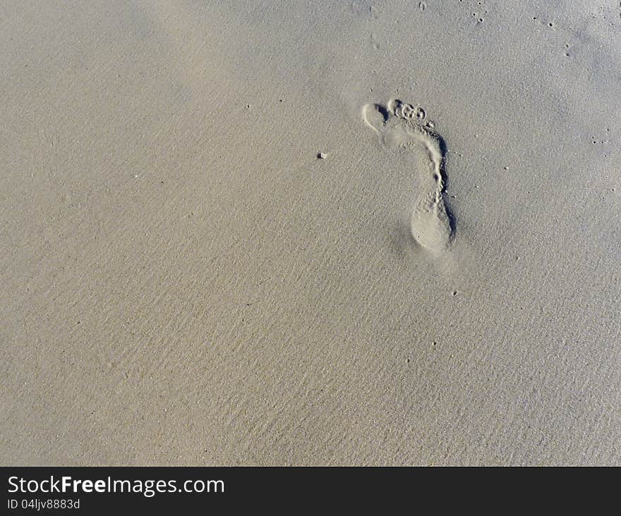 Single footprint on sand beach. Single footprint on sand beach