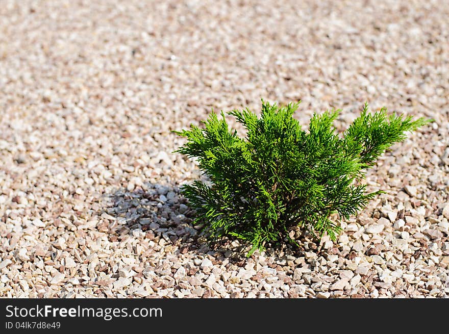 High resolution gravel texture with small details. High resolution gravel texture with small details