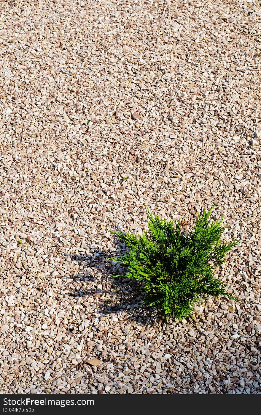 High resolution gravel texture with small details. High resolution gravel texture with small details