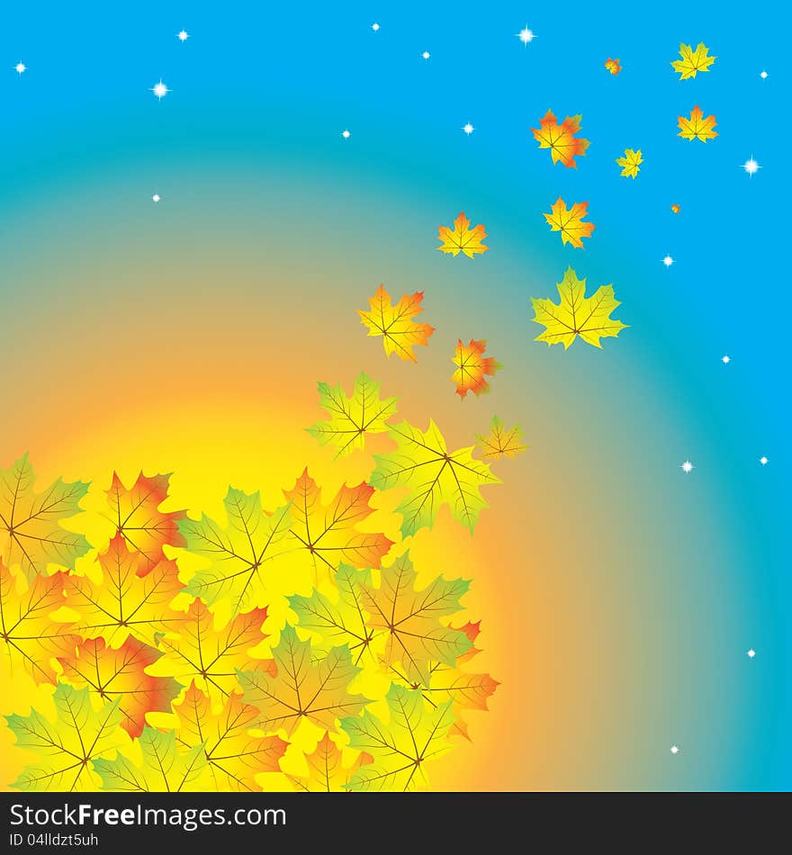 Autumn abstract background with leaf