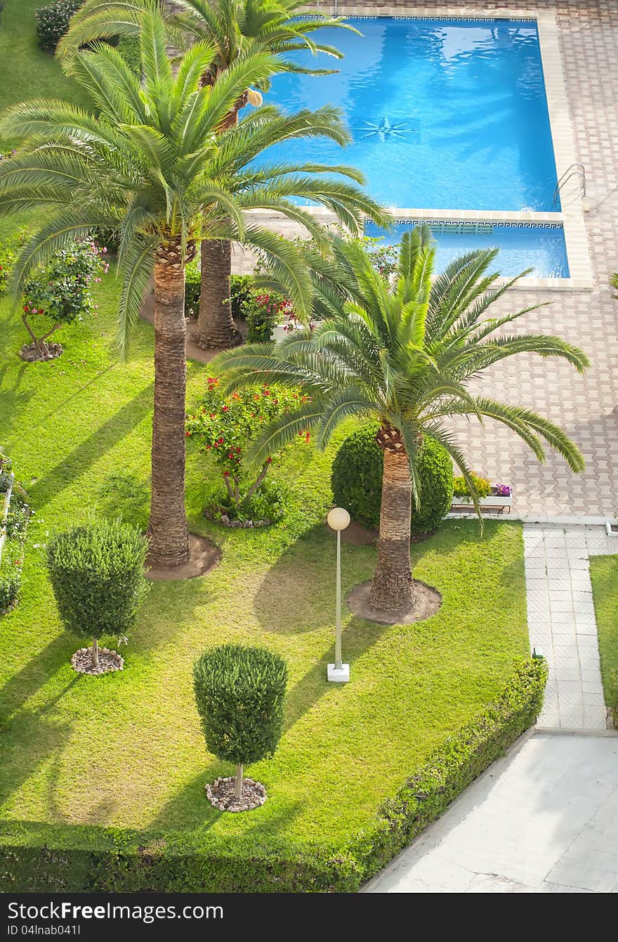 Swimming pool with a lot of vegetation around