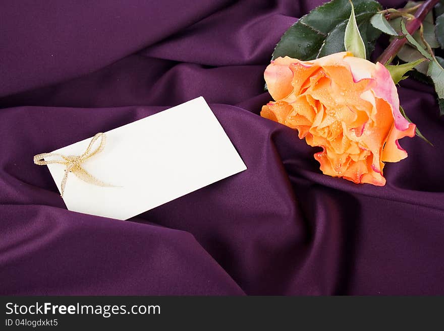 Yellow rose with dew drops and a card on purple background. Yellow rose with dew drops and a card on purple background