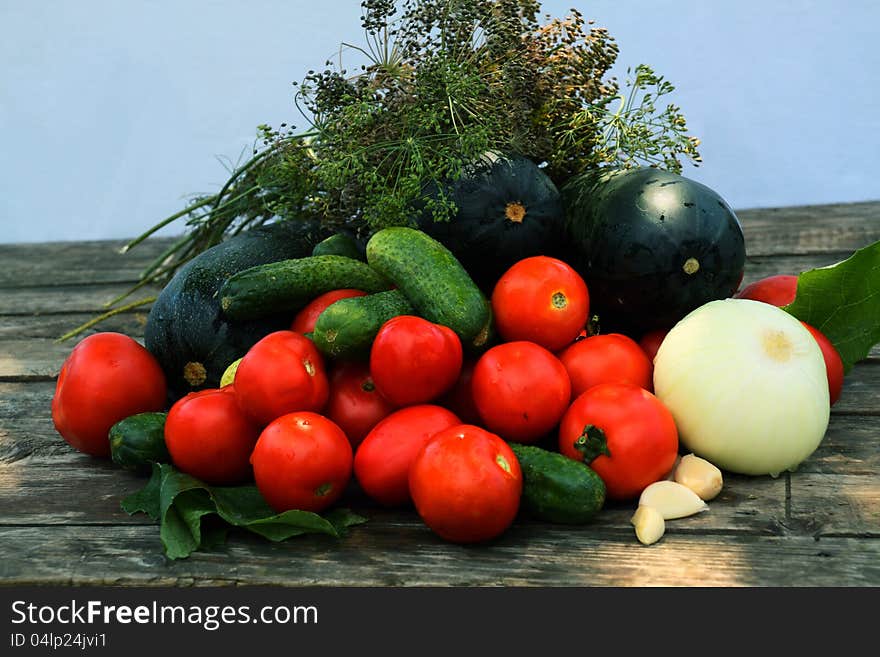 Vegetables grown on a vegetable garden. Vegetables grown on a vegetable garden