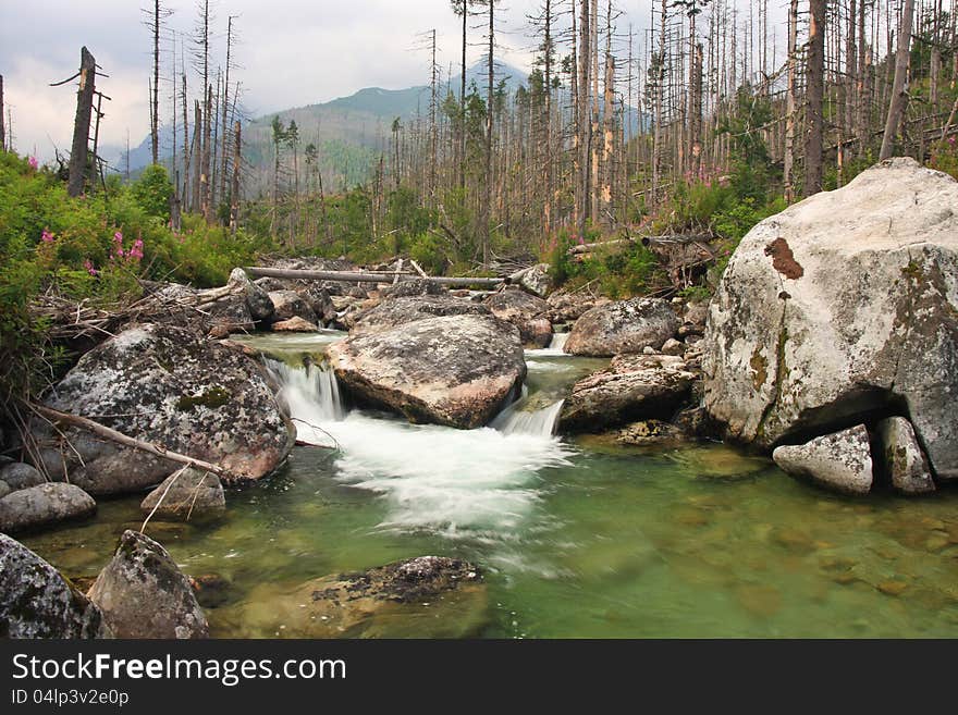 River In Mountains