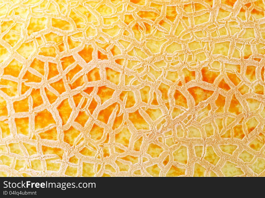 Closeup of Melon Peel