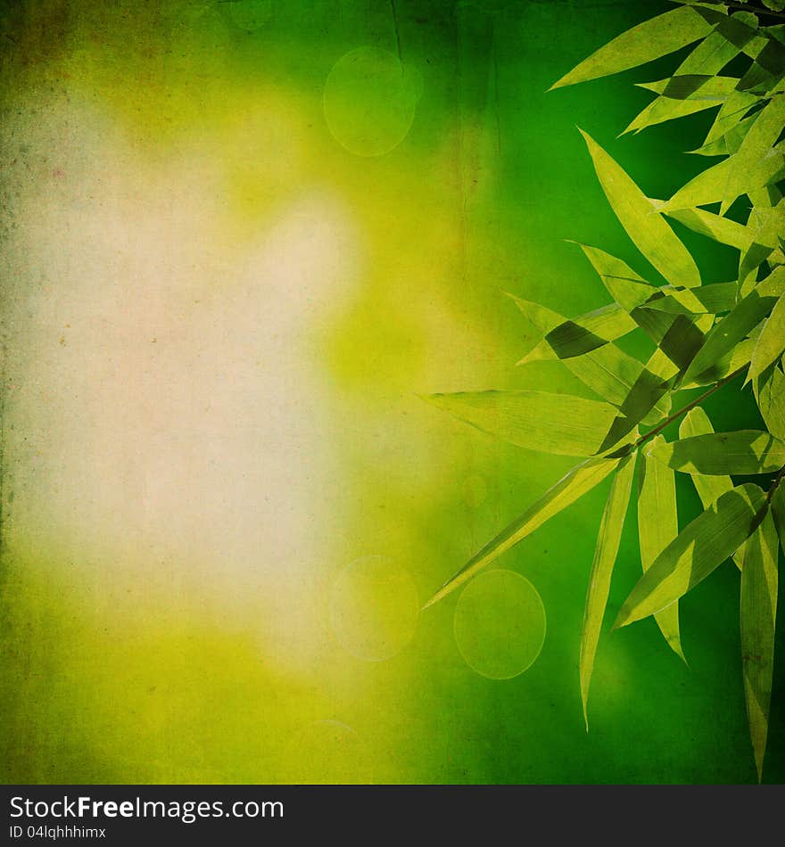 Bamboo with old paper grunge texture for background. Bamboo with old paper grunge texture for background