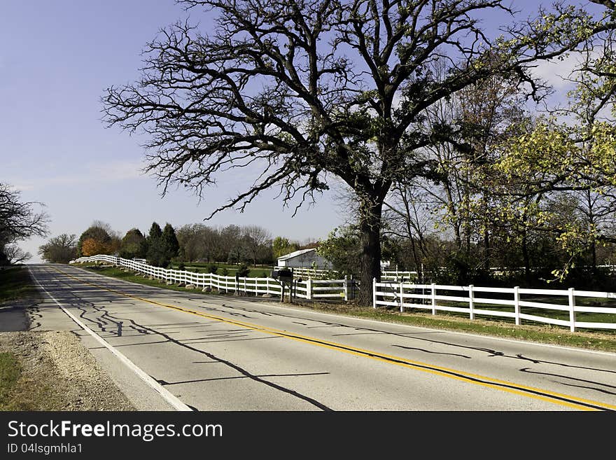 Country road during sunny day