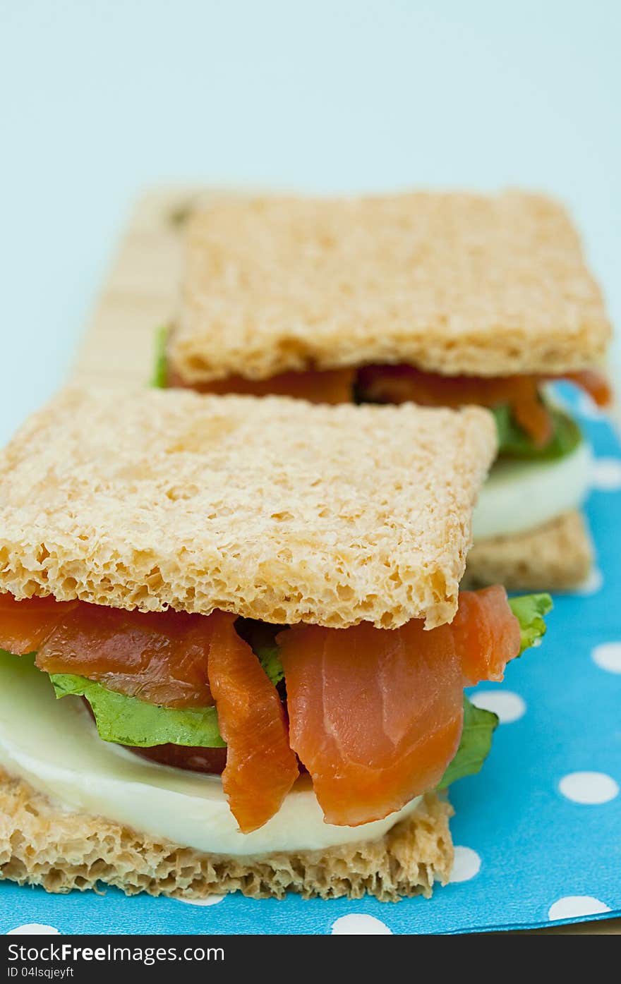 Smoked salmon, mozzarella cheese and tomato cracker sandwich. Smoked salmon, mozzarella cheese and tomato cracker sandwich