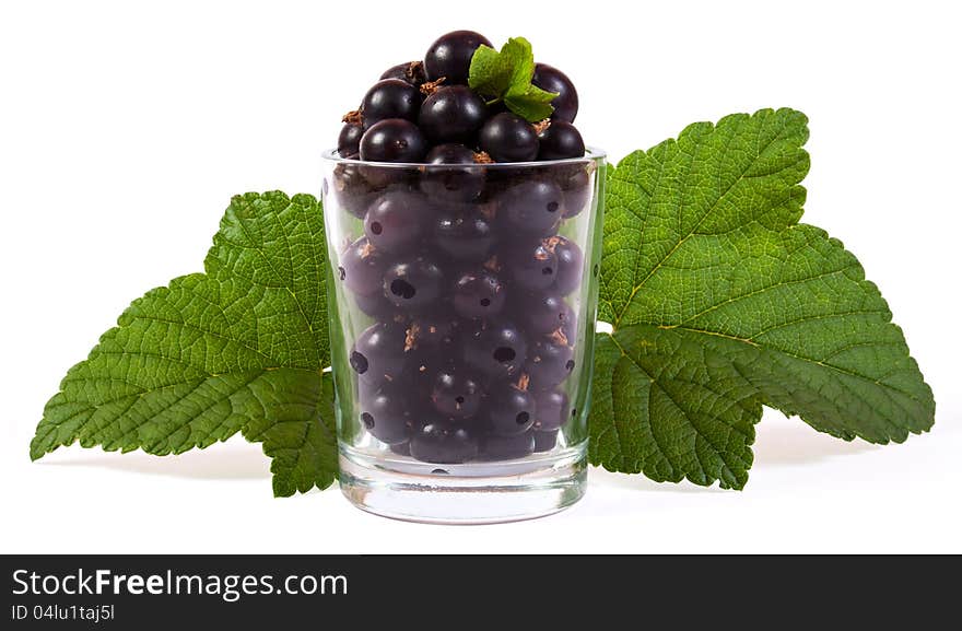 Black currants in a glass with green leaves. Black currants in a glass with green leaves