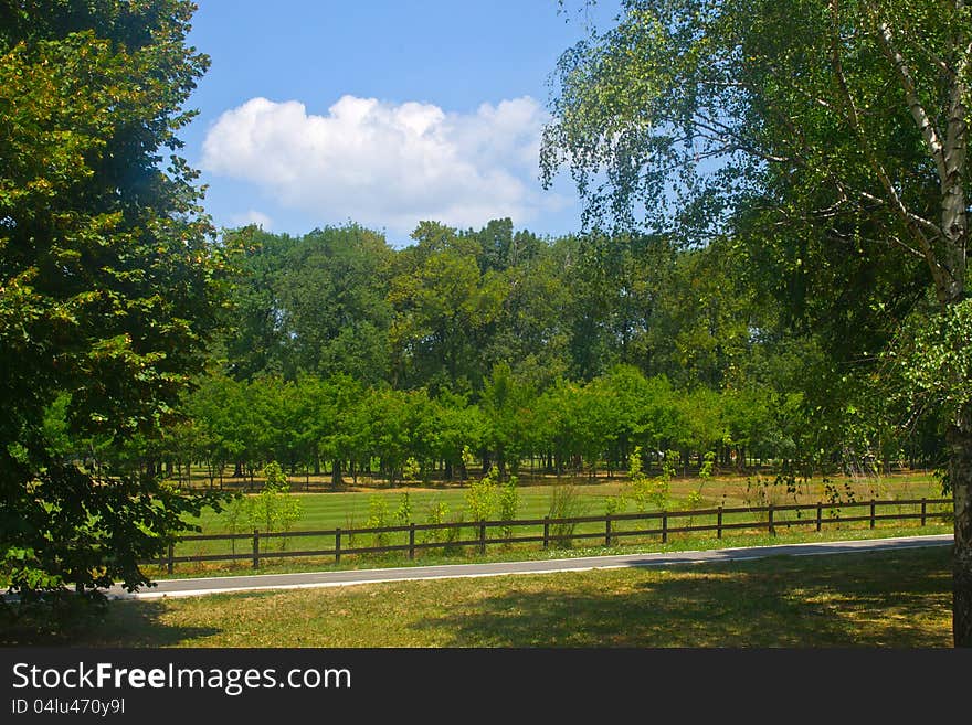 Summer nature landscape in Ada. Summer nature landscape in Ada