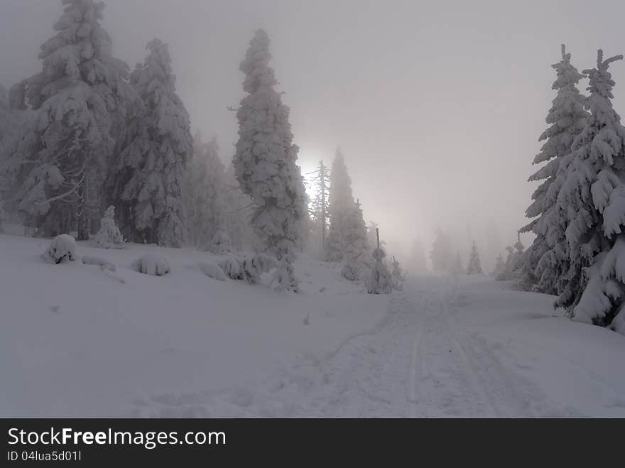 Winter at the Orlicke hill